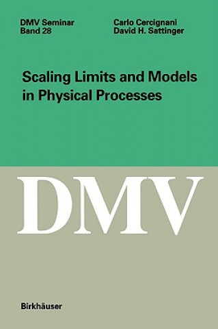 Książka Scaling Limits and Models in Physical Processes Carlo Cercignani