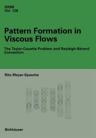 Könyv Pattern Formation in Viscous Flows Rita Meyer-Spasche