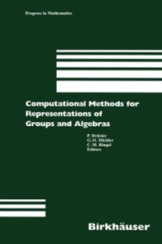 Knjiga Computational Methods for Representations of Groups and Algebras P. Dräxler