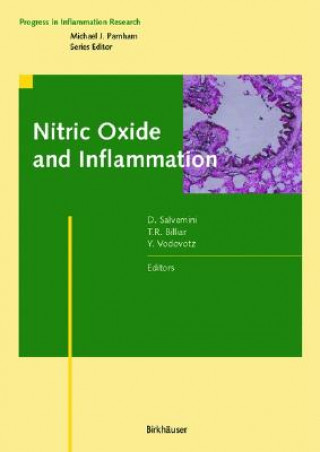 Kniha Nitric Oxide and Inflammation Daniela Salvemini