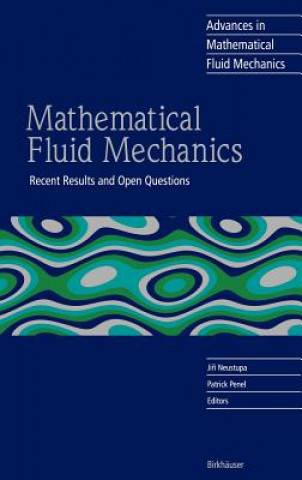 Kniha Mathematical Fluid Mechanics Jiri Neustupa