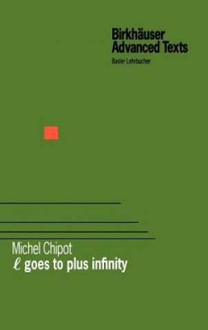 Book Goes to Plus Infinity Michel Chipot