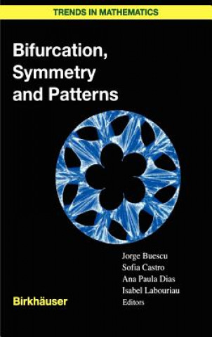 Könyv Bifurcation, Symmetry and Patterns Jorge Buescu