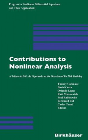 Kniha Nonlinear Differential Equations Thierry Cazenave