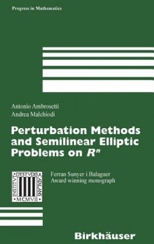 Kniha Perturbation Methods and Semilinear Elliptic Problems on R^n Antonio Ambrosetti
