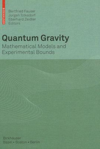 Kniha Quantum Gravity Bertfried Fauser