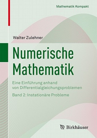 Könyv Instationäre Probleme Walter Zulehner