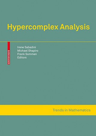 Buch Hypercomplex Analysis Irene Sabadini