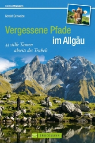 Kniha Vergessene Pfade Allgäu Gerald Schwabe