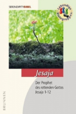 Könyv Jesaja Christoph Rösel