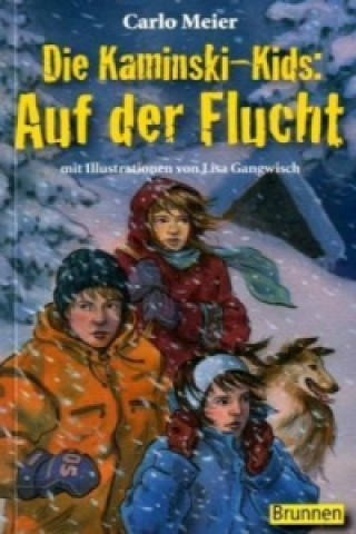 Könyv Die Kaminski-Kids - Auf der Flucht Carlo Meier