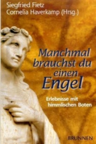 Книга Manchmal brauchst du einen Engel Siegfried Fietz