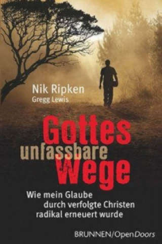 Kniha Gottes unfassbare Wege Nik Ripken