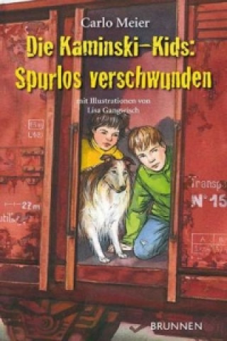 Knjiga Die Kaminski-Kids: Spurlos verschwunden Carlo Meier