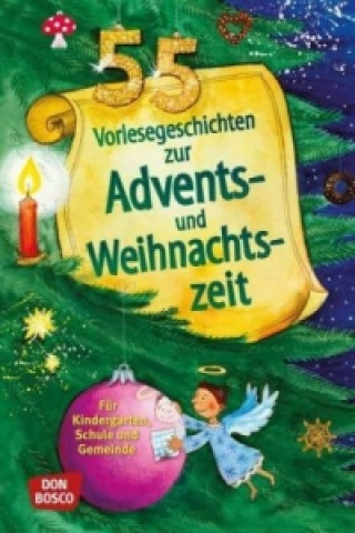 Kniha 55 Vorlesegeschichten für die Advents- und Weihnachtszeit 