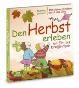 Kniha Den Herbst erleben mit Ein- bis Dreijährigen Monika Lehner