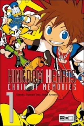 Carte Kingdom Hearts Chain Of Memories 01 Walt Disney