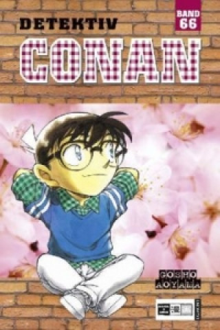 Könyv Detektiv Conan. Bd.66 Gosho Aoyama