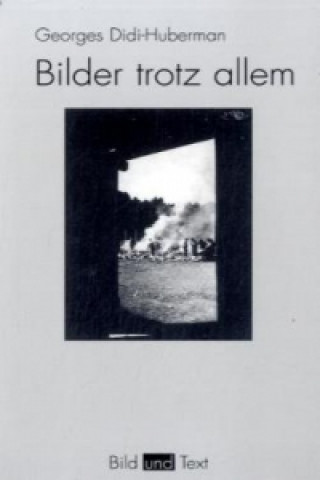 Buch Bilder trotz allem Georges Didi-Huberman