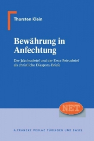 Kniha Bewährung in Anfechtung Thorsten Klein