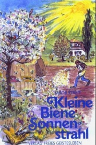 Könyv Kleine Biene Sonnenstrahl Jakob Streit