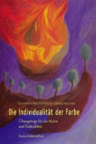 Kniha Die Individualität der Farbe Elisabeth Wagner-Koch