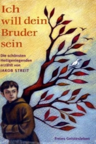 Könyv Ich will dein Bruder sein Jakob Streit