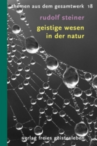 Buch Geistige Wesen in der Natur Rudolf Steiner