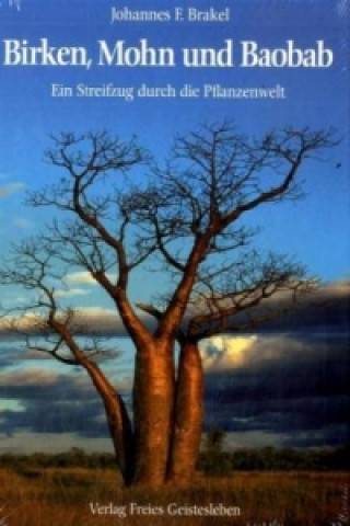 Carte Birken, Mohn und Baobab Johannes F. Brakel