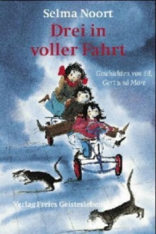 Livre Drei in voller Fahrt Selma Noort