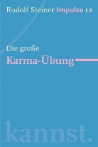 Könyv Die große Karma-Übung Rudolf Steiner