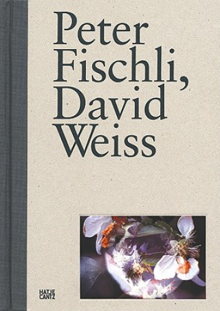 Könyv Peter Fischli, David Weiss Ingvild Goetz