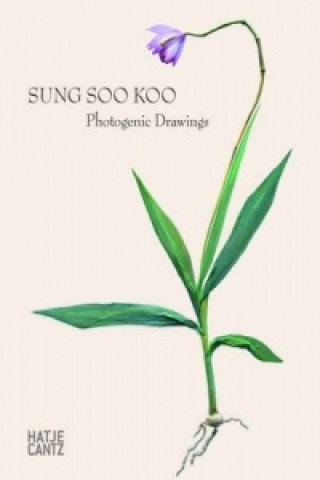 Könyv Sung Soo Koo: Photogenic Drawings Sung Soo Koo
