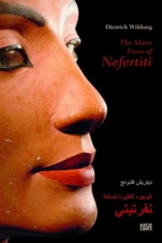 Buch Many Faces of Nefertiti Museum zu Allerheiligen