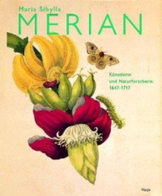 Carte Maria Sibylla Merian (German Edition) Kurt Wettengl