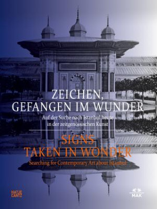 Libro Zeichen, gefangen im Wunder Christoph Thun-Hohenstein