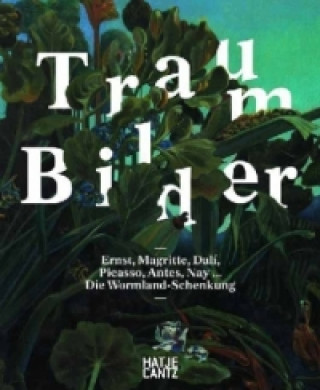 Kniha Traum-Bilder: Ernst, Magritte, Dali, Picasso, Antes, Nay ... Verena Hein