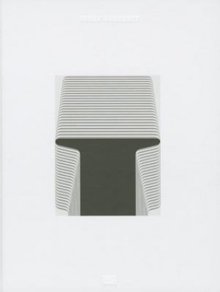 Βιβλίο Terry Haggerty Michael Auping
