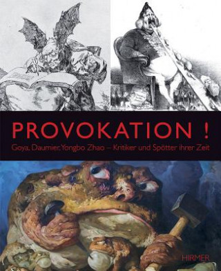 Kniha Provokation! Susanne Flesche