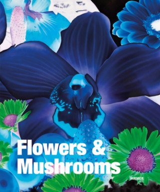 Könyv Flowers & Mushrooms Toni Stooss