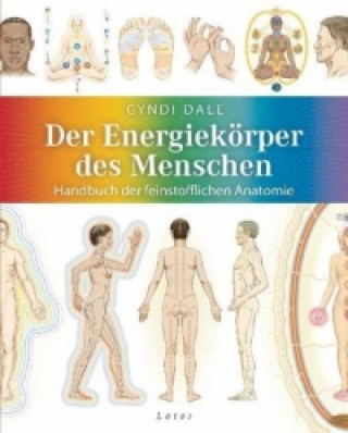 Kniha Der Energiekörper des Menschen Cyndi Dale