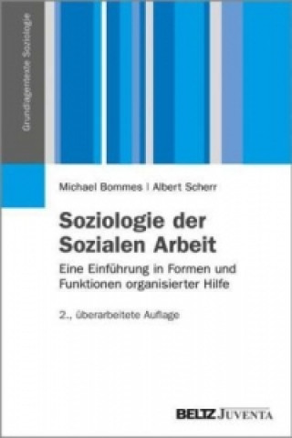 Книга Soziologie der Sozialen Arbeit Michael Bommes