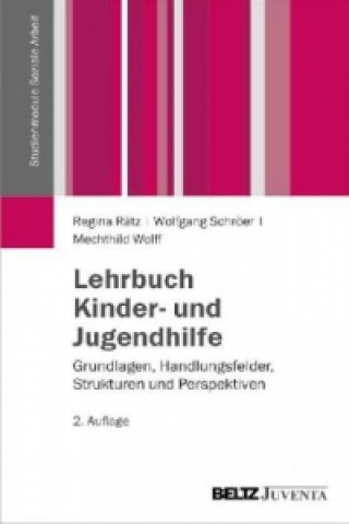 Kniha Lehrbuch Kinder- und Jugendhilfe Regina Rätz