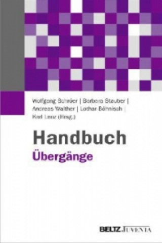 Книга Handbuch Übergänge Wolfgang Schröer