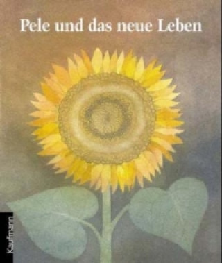 Kniha Pele und das neue Leben Regine Schindler