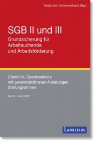 Kniha SGB II und III - Grundsicherung für Arbeitsuchende und Arbeitsförderung Clarita Schwengers