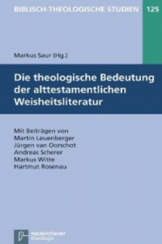 Kniha Biblisch-Theologische Studien Markus Saur