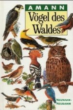 Carte Vögel des Waldes Gottfried Amann