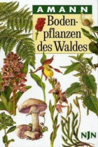 Książka Bodenpflanzen des Waldes Gottfried Amann