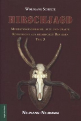 Kniha Hirschjagd. Bd.3 Wolfgang Schulte
